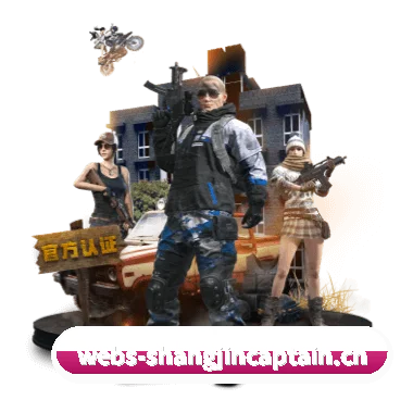 全流程赛事陪伴, 观赛有据可依